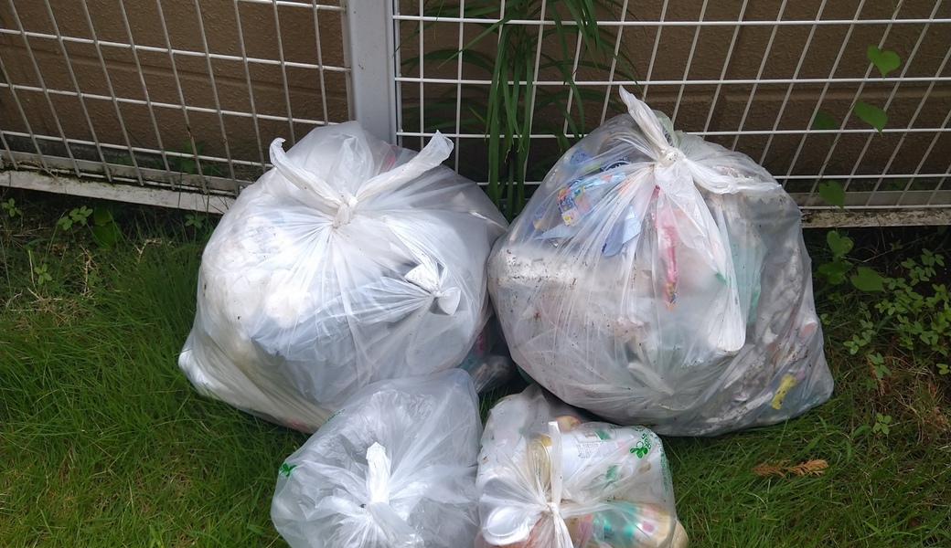 ポケごみ　伊勢原から　第226回 レポート