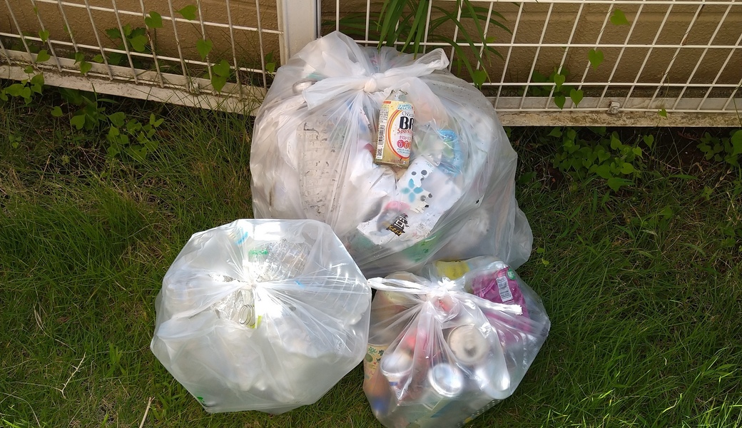 ポケごみ　伊勢原から　第229回 レポート