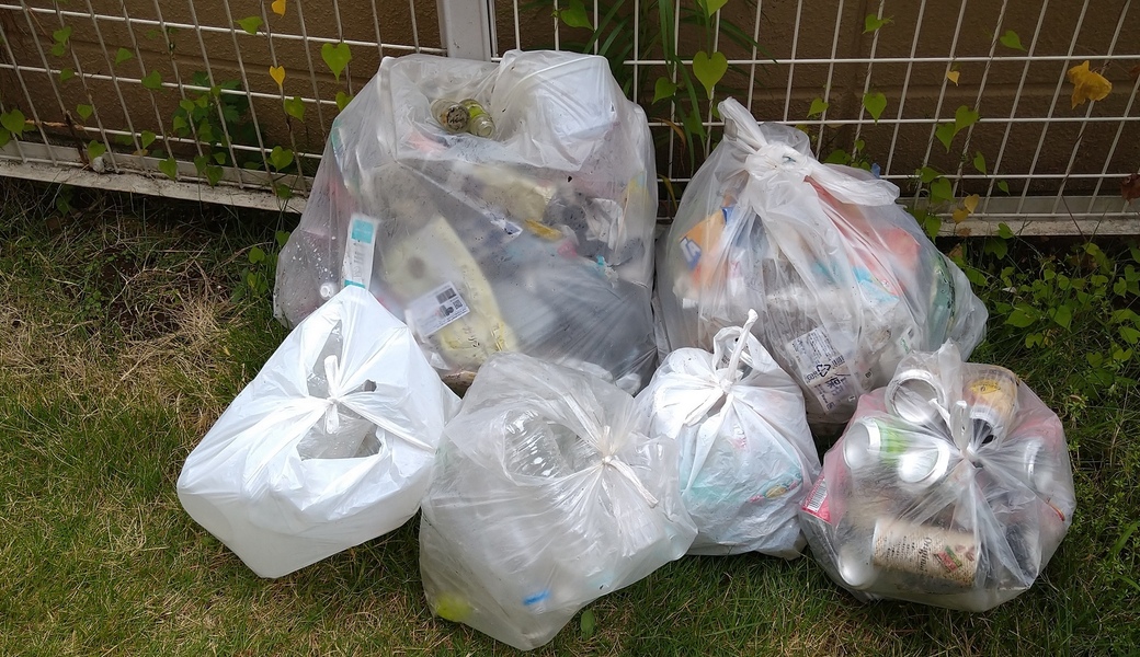 ポケごみ　伊勢原から　第233回 レポート