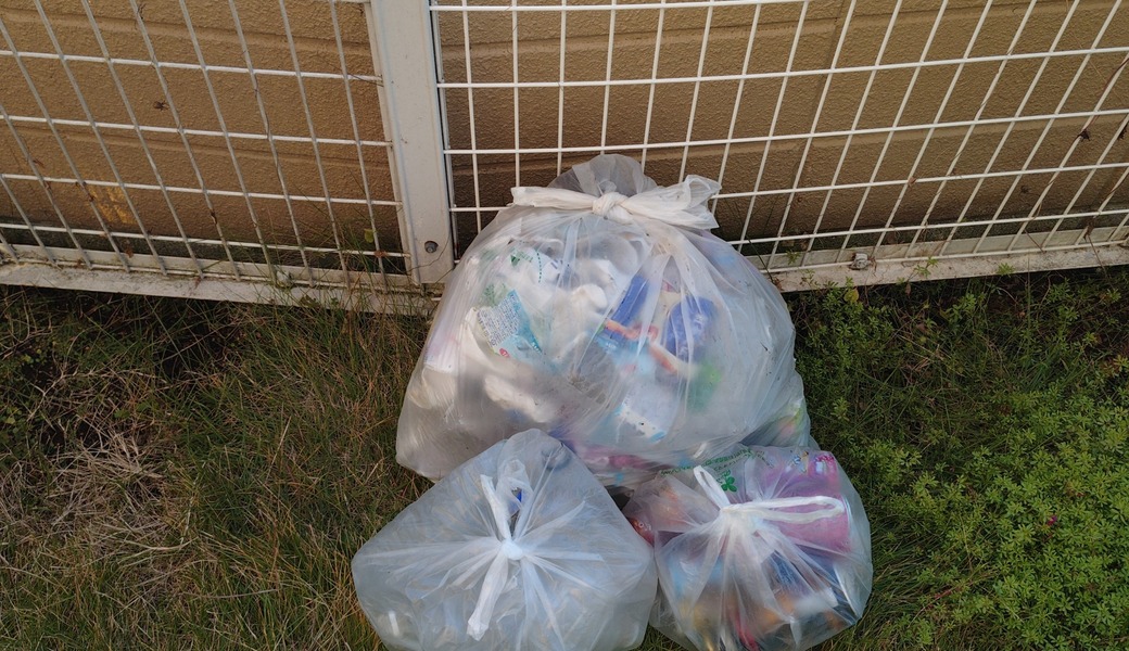 ポケごみ　伊勢原から　第237回 レポート