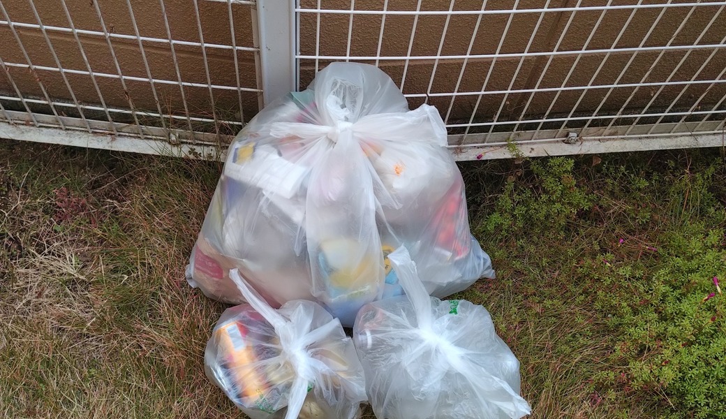 ポケごみ　伊勢原から　第240回 レポート