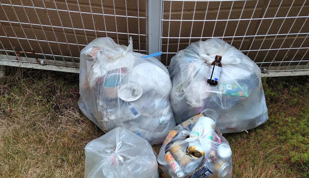 ポケごみ　伊勢原から　第241回 レポート