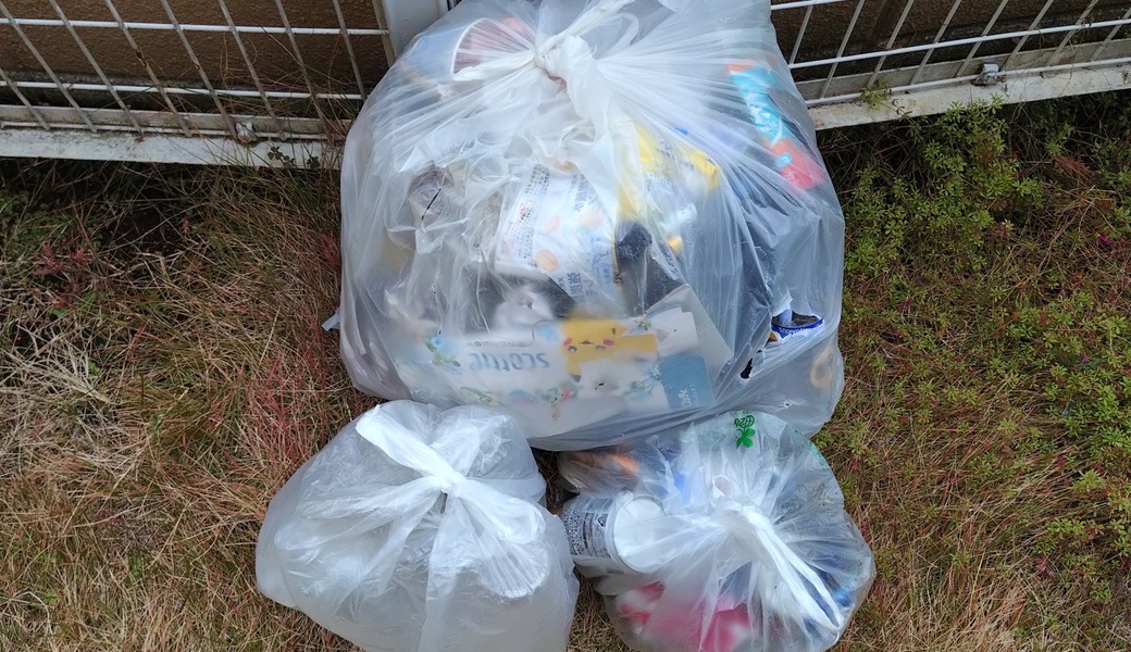 ポケごみ　伊勢原から　第242回 レポート