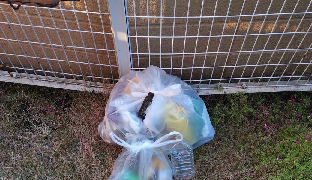 ポケごみ　伊勢原から　第243回 レポート