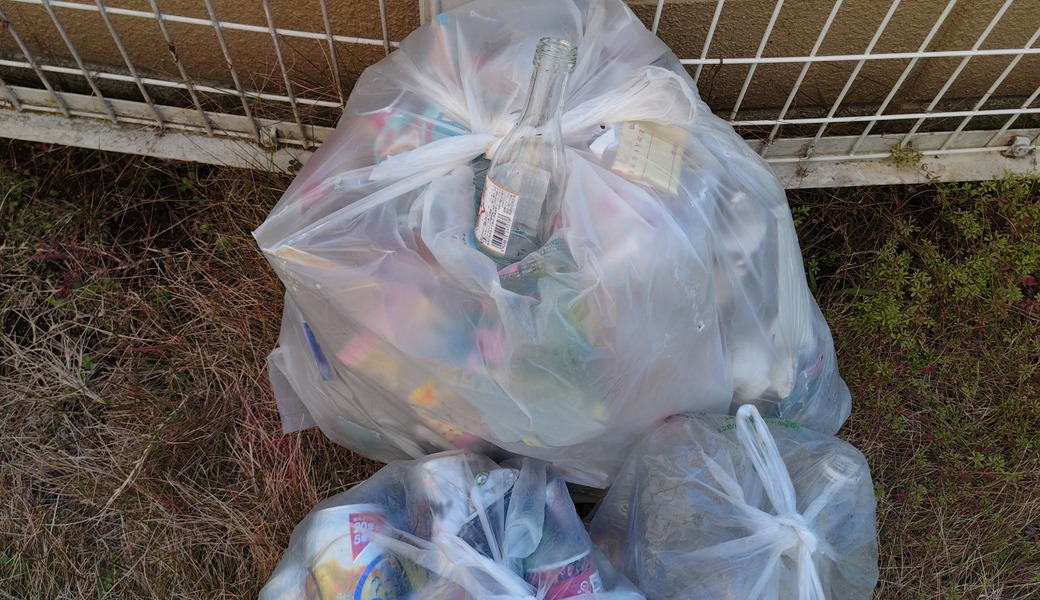 ポケごみ　伊勢原から　第244回 レポート