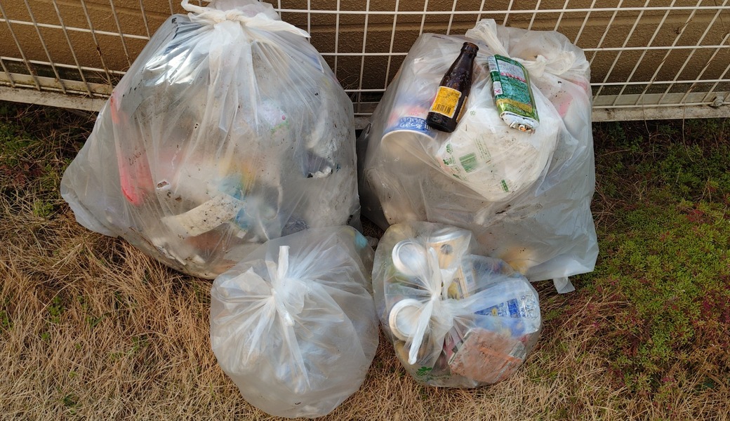 ポケごみ　伊勢原から　第252回 レポート