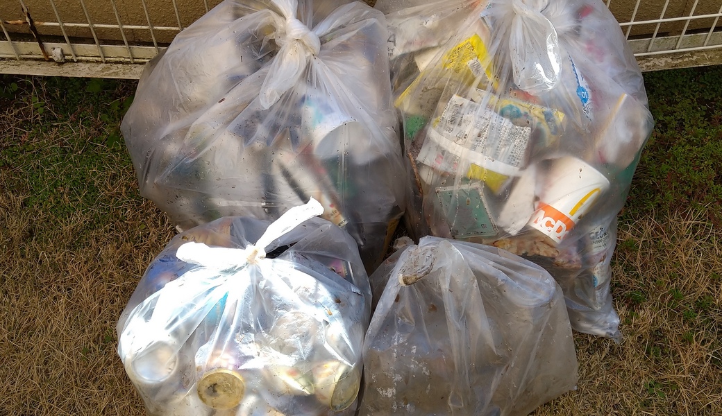 ポケごみ　伊勢原から　第17回 レポート