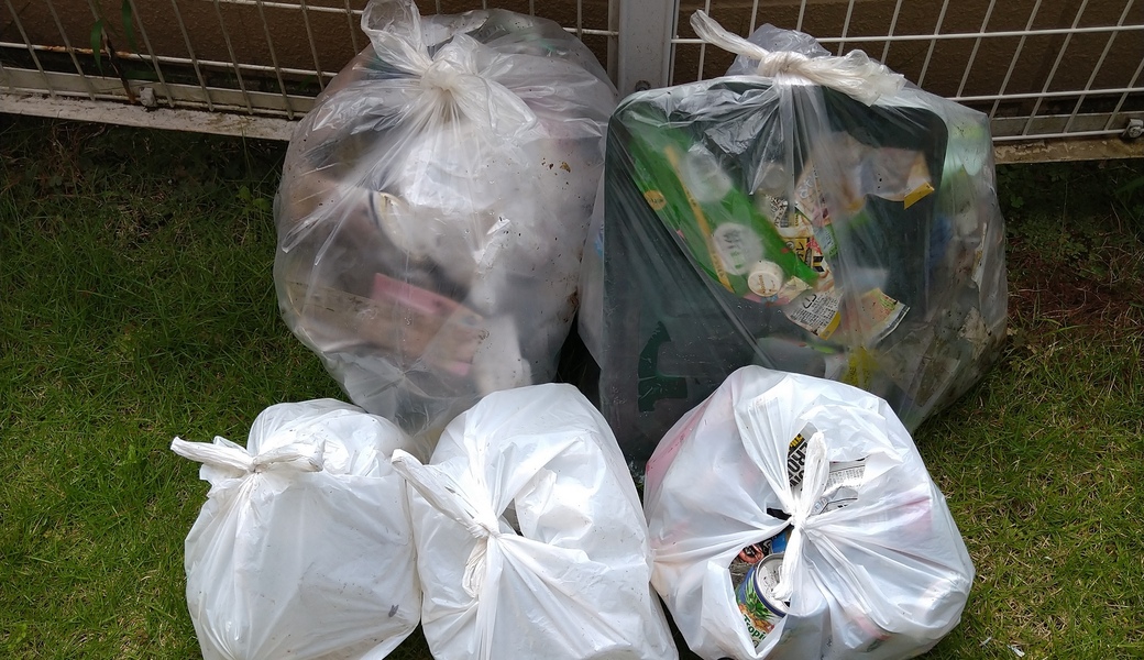 ポケごみ　伊勢原から　第31回 レポート