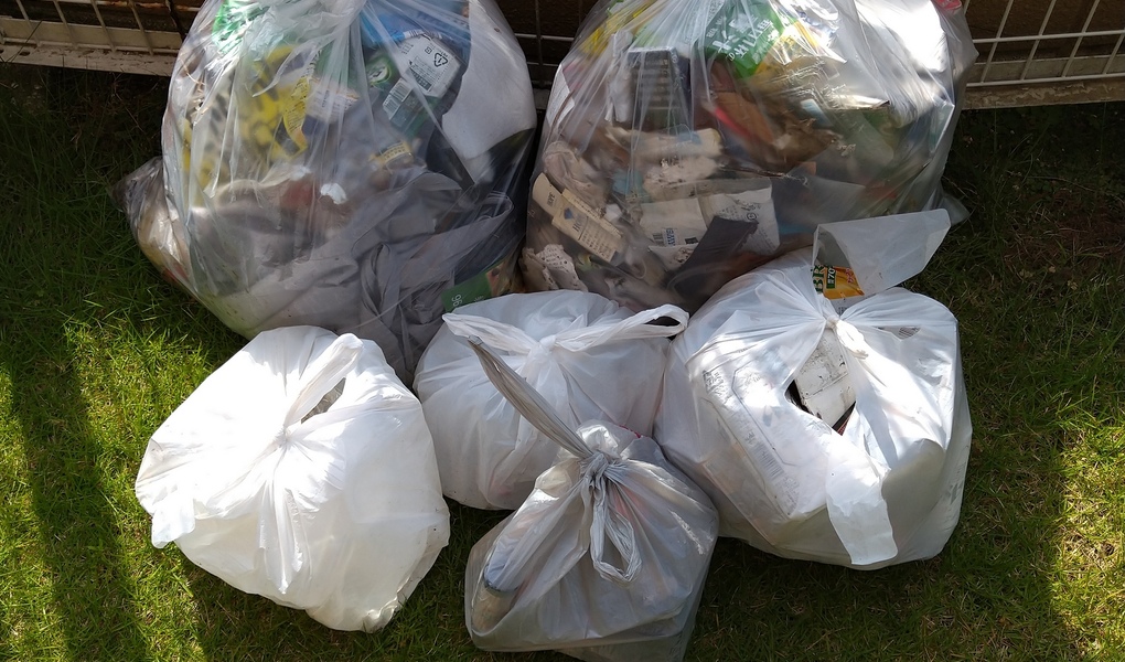 ポケごみ　伊勢原から　第３2回 レポート