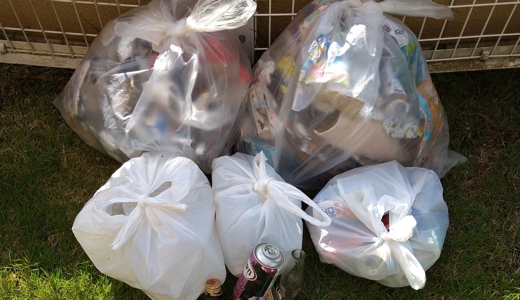 ポケごみ　伊勢原から　第36回 レポート