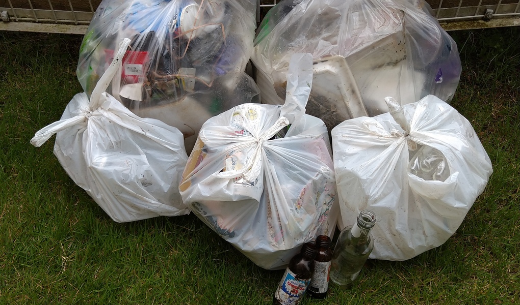 ポケごみ　伊勢原から　第37回 レポート