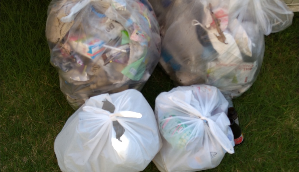 ポケごみ　伊勢原から　第44回 レポート