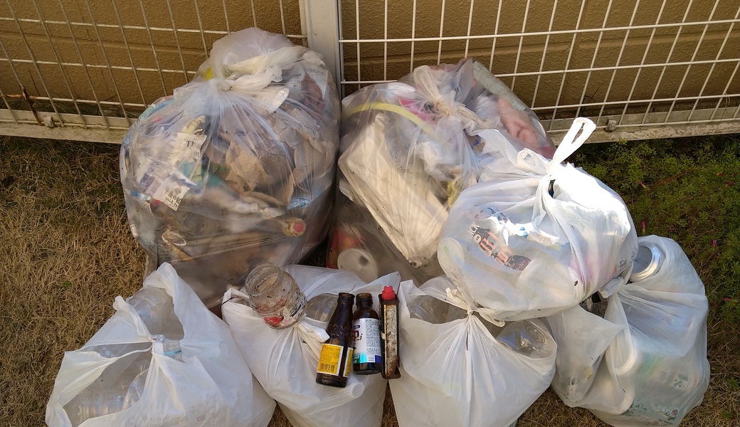 ポケごみ　伊勢原から　第55回 レポート