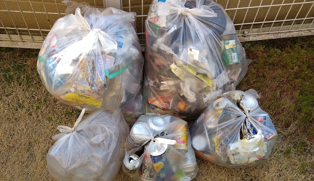 ポケごみ　伊勢原から　第65回 レポート