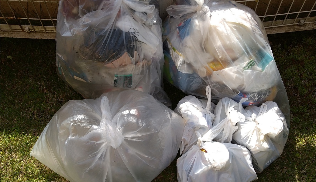 ポケごみ　伊勢原から　第74回 レポート