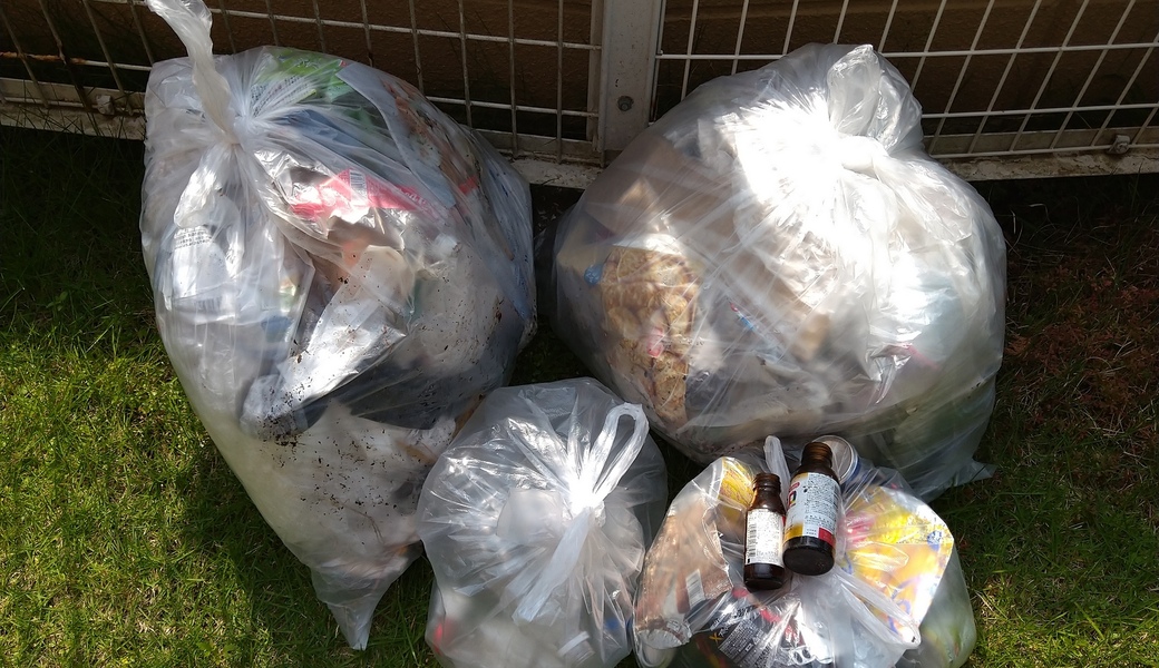 ポケごみ　伊勢原から　第78回 レポート