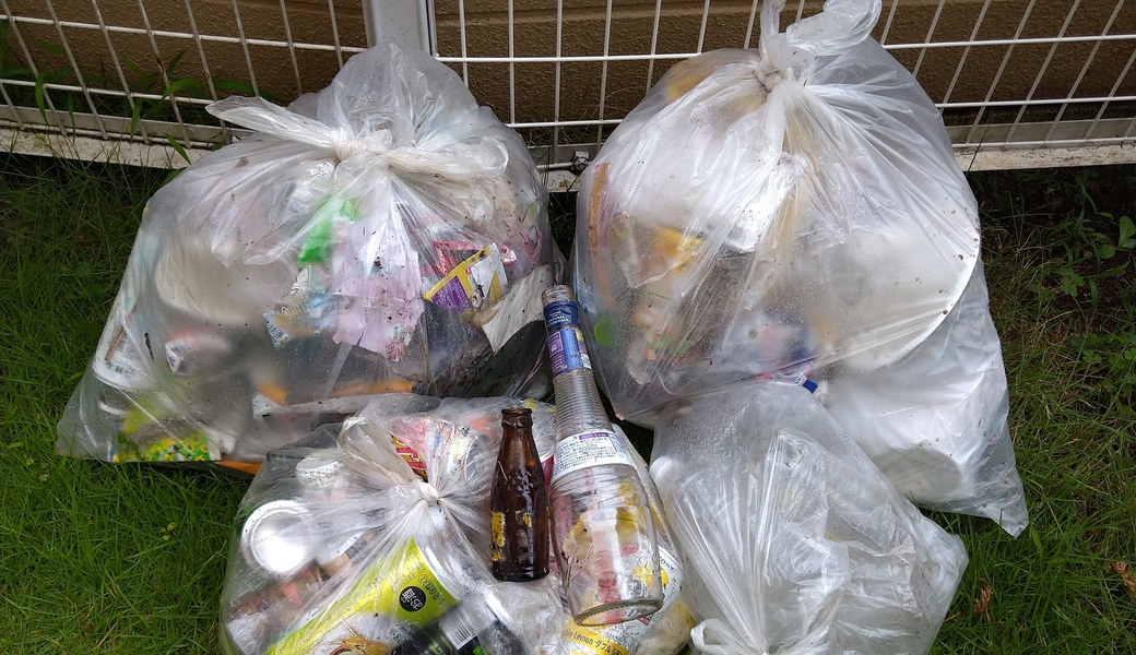 ポケごみ　伊勢原から　第84回 レポート