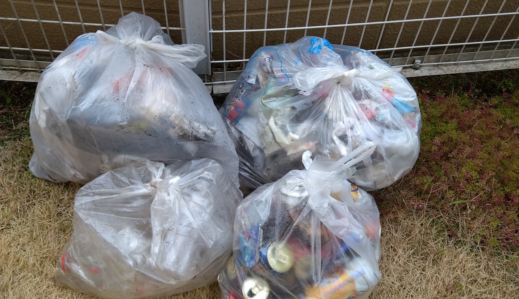 ポケごみ　伊勢原から　第113回 レポート