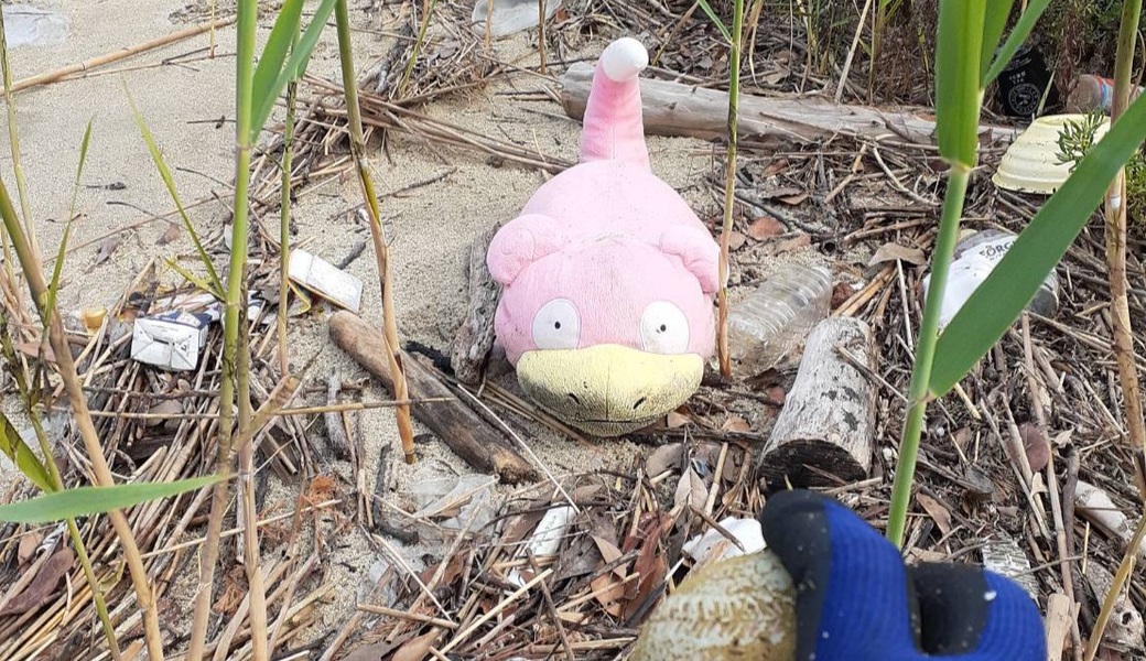 【和白干潟】和白干潟広域清掃と環境調査 #海ごみリサーチ博多湾 アイキャッチ