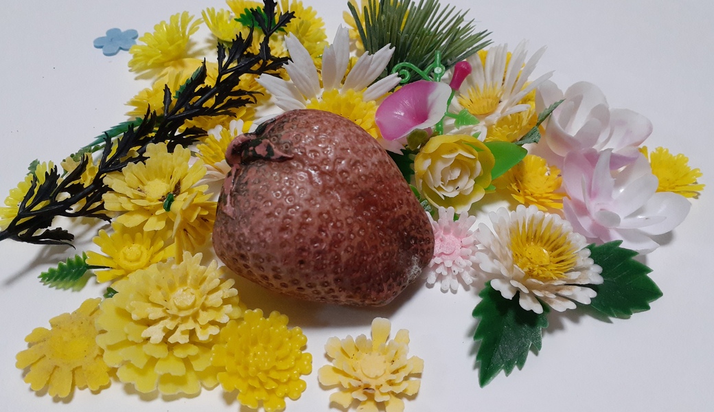 【奈多～志賀島】海岸視察・アート素材探し アイキャッチ