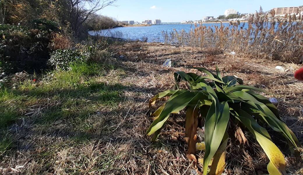 多々良川河口干潟を綺麗にしよう！ アイキャッチ