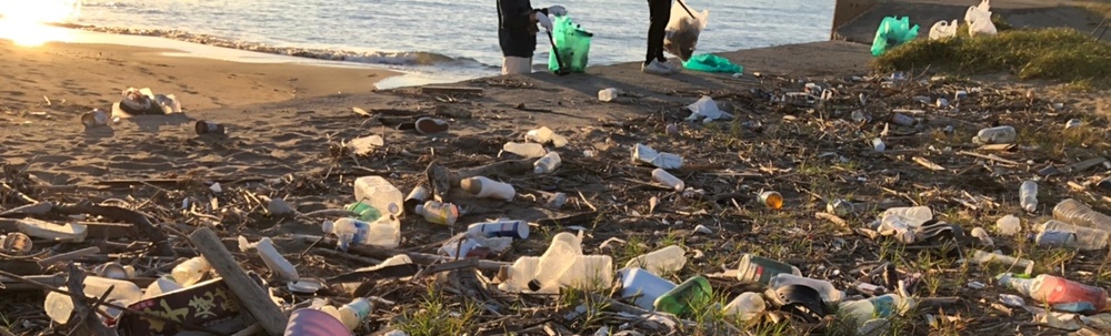 金大Habitat カバー