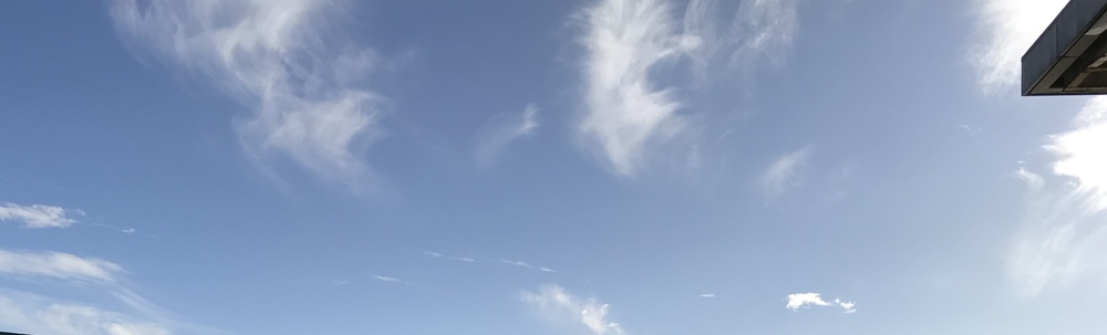 ゆっくりゴミ拾いたい カバー