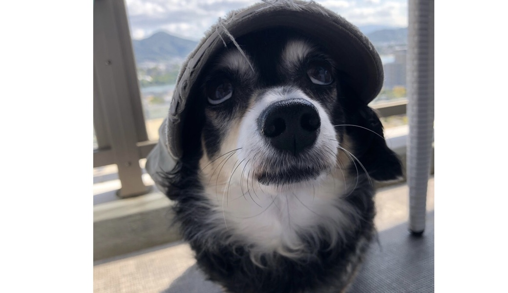 EARTHおじさんとビーチクリーン アイキャッチ