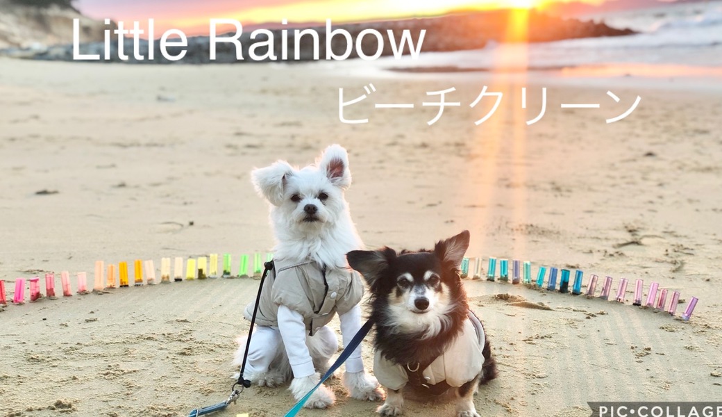 第4回　little rainbow ビーチクリーン アイキャッチ