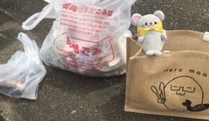 岡崎deゴミ拾い アイキャッチ