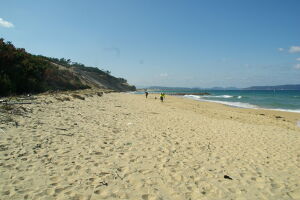 第2回ビーチクリーン　奈多海岸 アイキャッチ