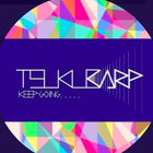 筑波CARP(筑波カープ) プロフィール