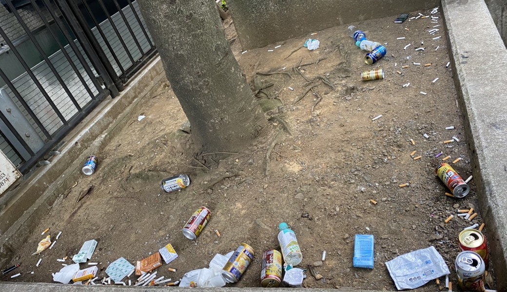 海外プログラム事業部：横浜クリーン作戦 レポート