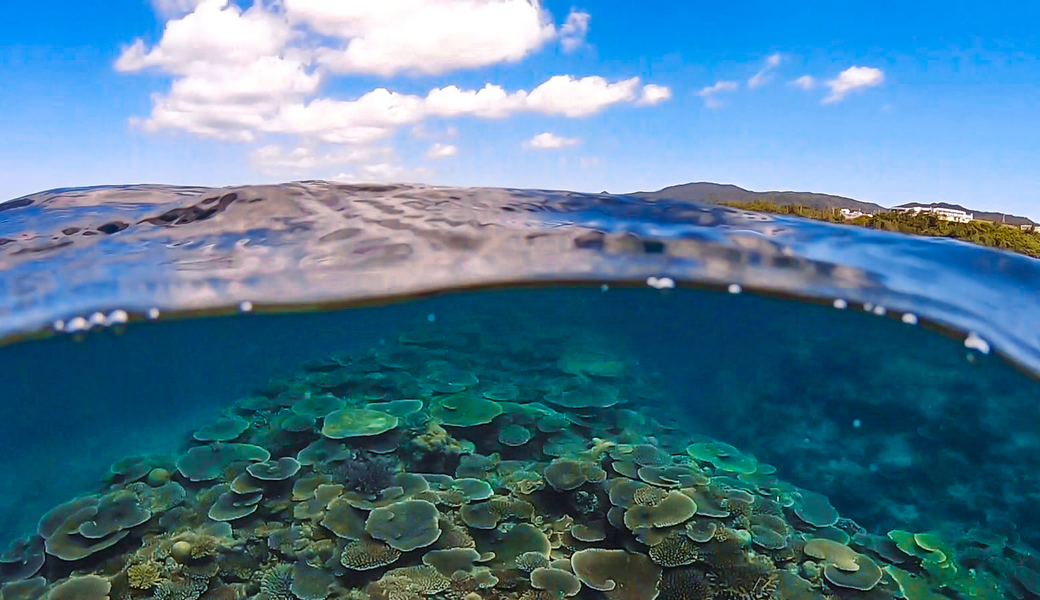 沖縄年末　海の大掃除　水中＆ビーチクリーン アイキャッチ