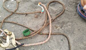 美しが丘公園をきれいにしよう！ アイキャッチ