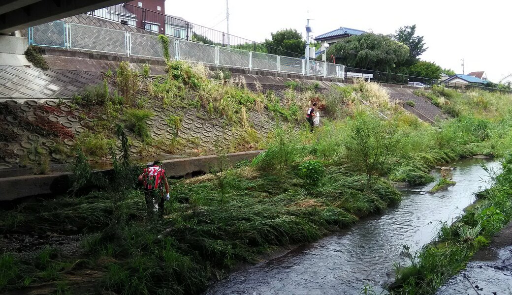 早渕川ファンクラブ・早渕川親水広場愛護会・定期美化活動 アイキャッチ