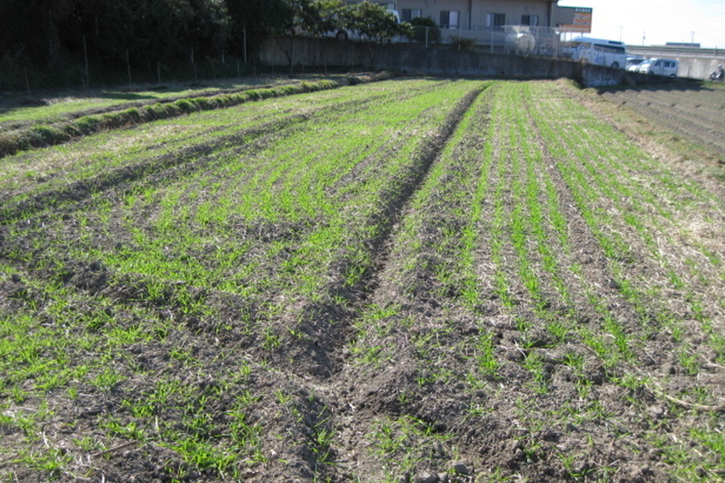 農福薬草楽園物語 1 アイキャッチ