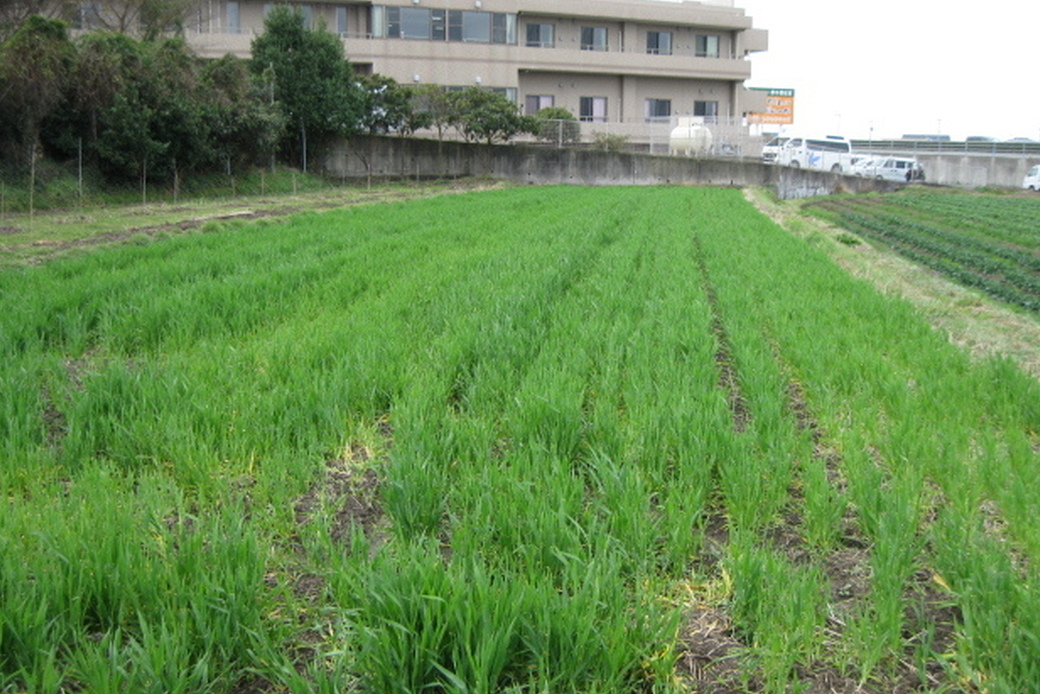 農福の駅 南海街道 須保木で防火啓発活動 アイキャッチ