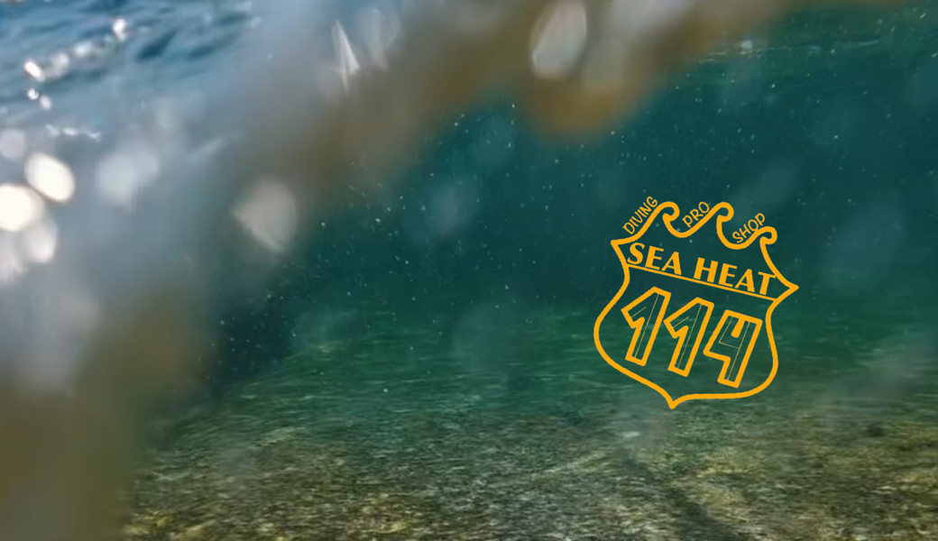 SEA HEATで福浦クリーンアップ！ アイキャッチ