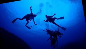 真鶴半島の海をキレイに！福浦で潜ってビーチクリーン ... アイキャッチ