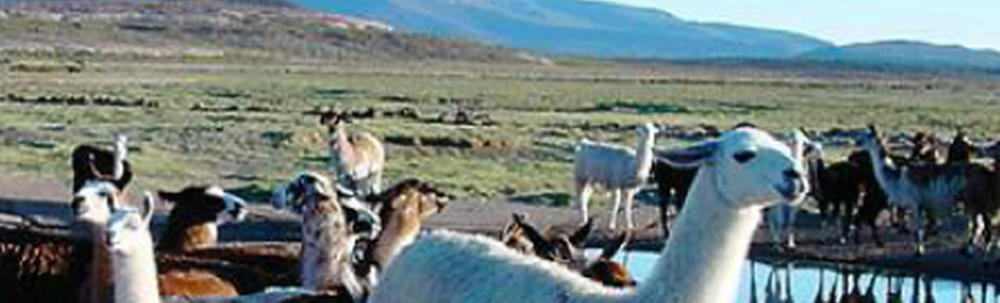 ダイコク電機株式会社 カバー