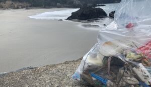 弁天白浜海水浴場　気ままにビーチクリーン アイキャッチ