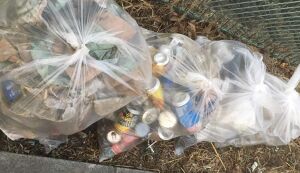 芝川清掃 アイキャッチ