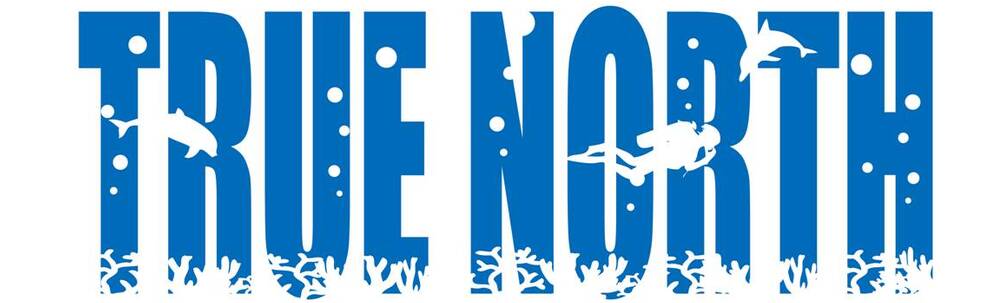 TrueNorth カバー