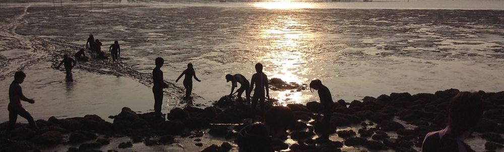 NPO法人SPERA森里海・時代を拓く カバー