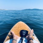 Blue Anthias プロフィール