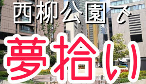 西柳公園（名古屋駅周辺）をきれいにしよう！ アイキャッチ