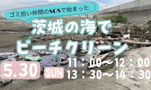 ゴミ拾い仲間のSOSで始まる茨城のビーチクリーン アイキャッチ