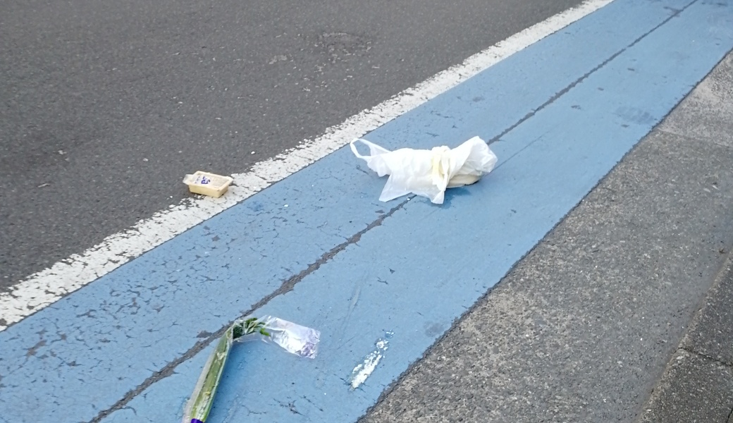 ごみさん【1】 レポート