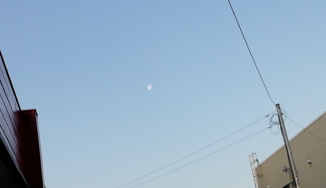 ごみさん【19】 レポート